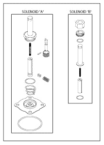 Dual Solenoid Valve Repair Kit 100,200 Series