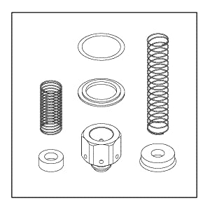 Check Valve Rebuild Kit 100,200 Series CSK066