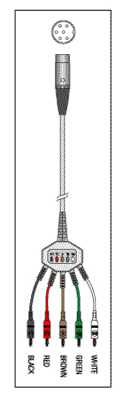 Patient Cable - 5 Lead Fixed Banana