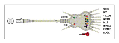 Patient Cable - 10 Lead Fixed Snap KKB011